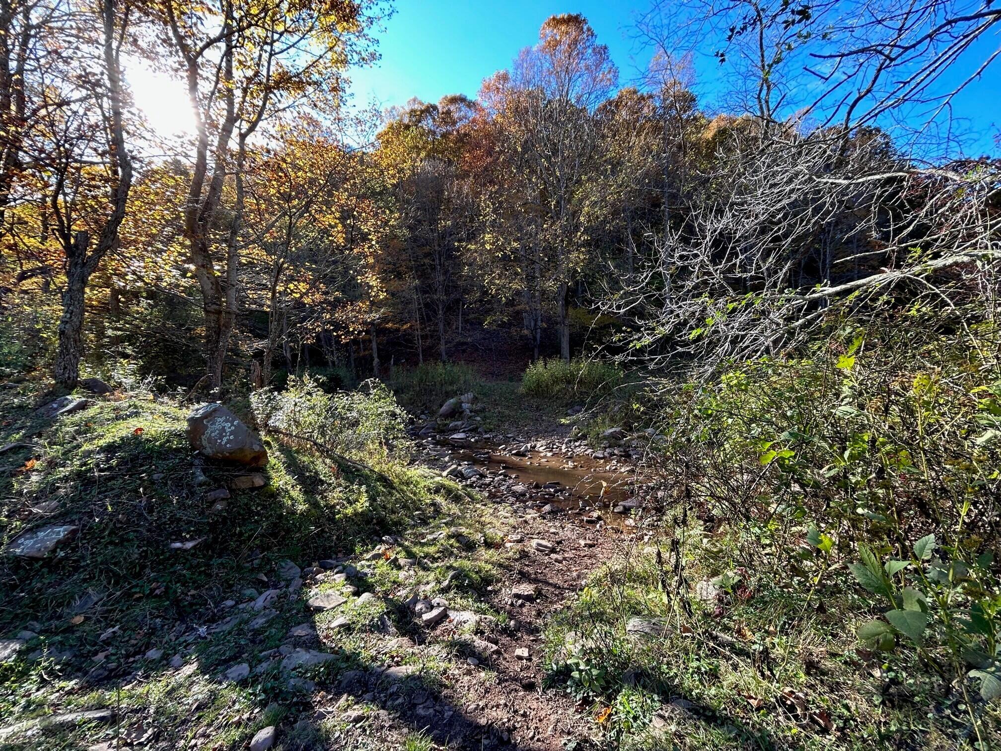42 Snake Run Road Rainelle, WV 25962 - Photo 27 of 28 Gallery Image 27
