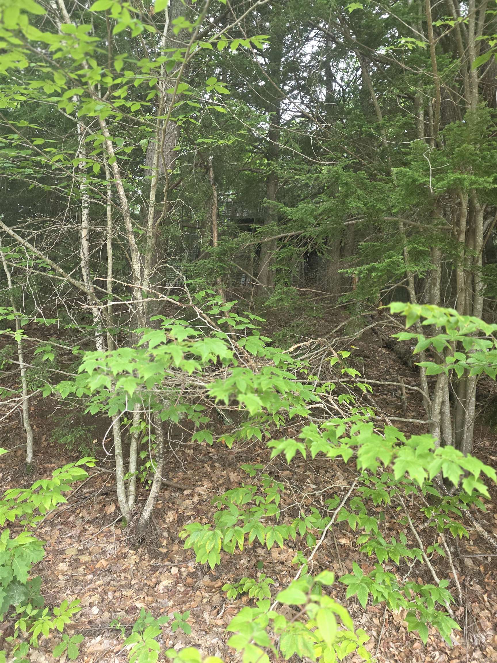 113 Bell Valley Road Campton, NH 03223 - Photo 3 of 31