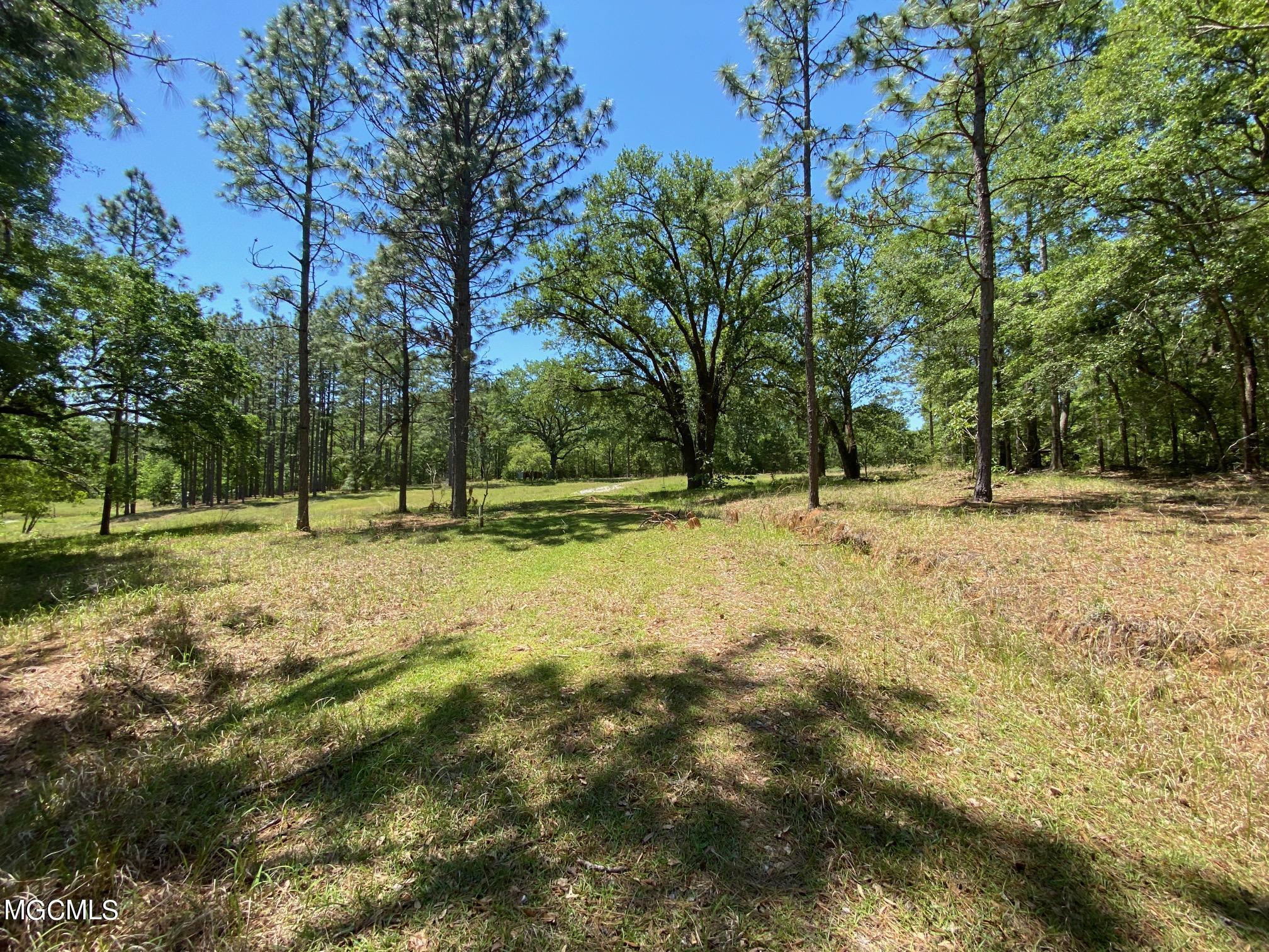 18-ac Harmon Pope Road Lucedale, MS 39452 - Photo 1 of 1 70692017-9D41-418C-BEA0-97F4BFF9B017