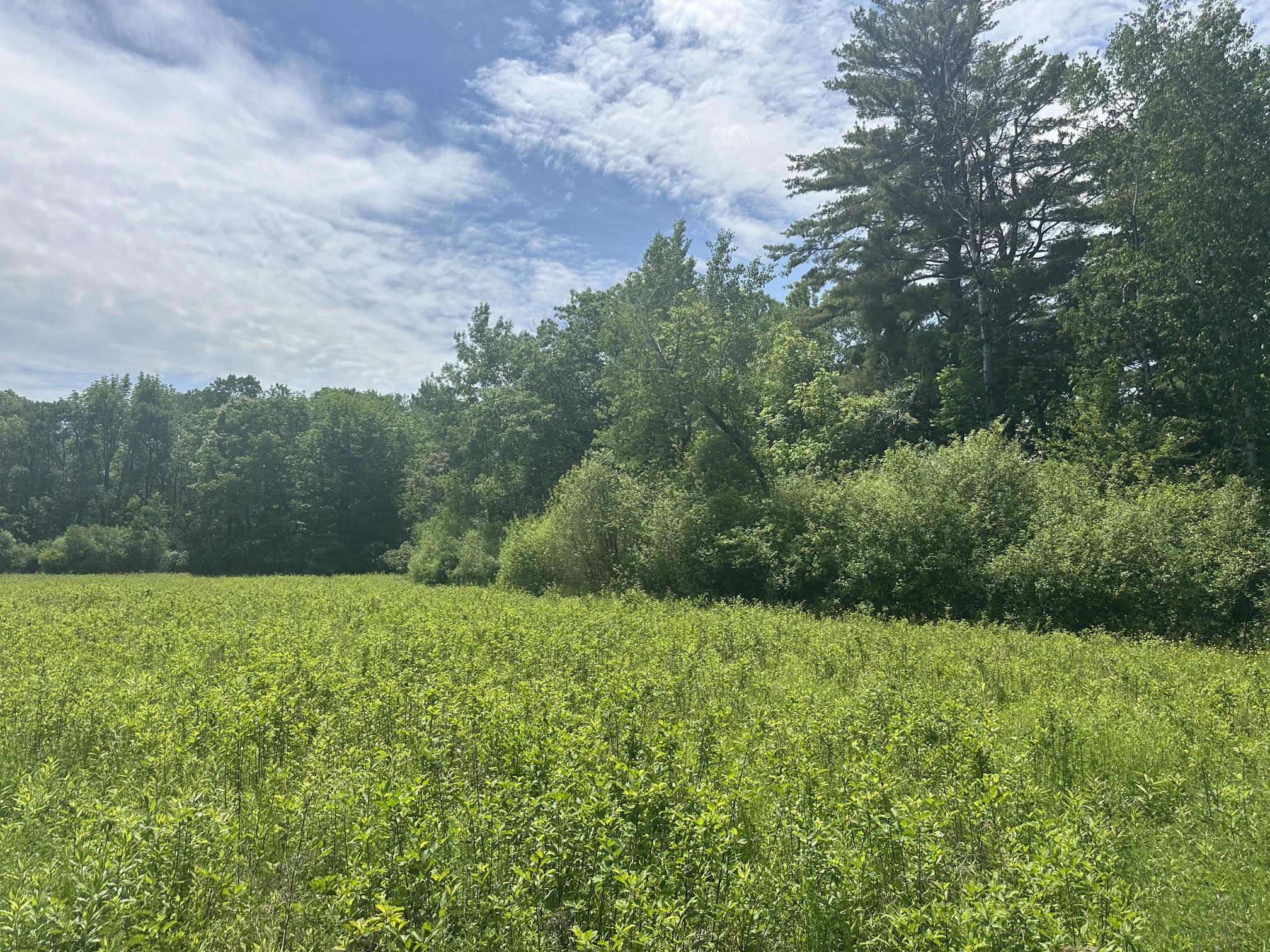 37 Herrick Road Belfast, ME 04915 - Photo 2 of 14 3