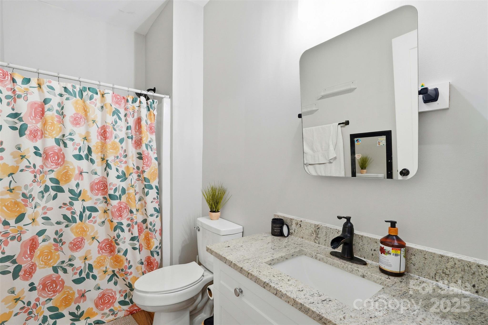 16659 Five Point Road Locust, NC 28097 - Photo 17 of 26 a bathroom with a granite countertop sink and a toilet