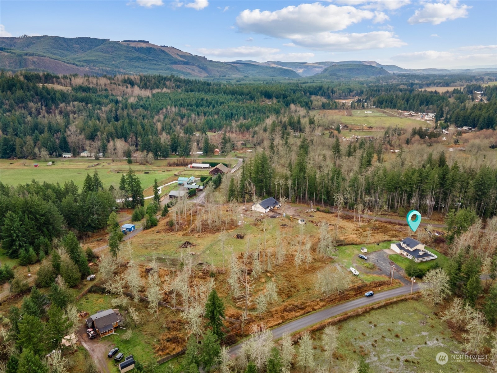 17641 Fennel Road Southeast Yelm, WA 98597 - Photo 32 of 38 a view of a town with mountains in the background