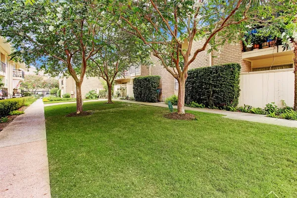 a view of a garden with pathway