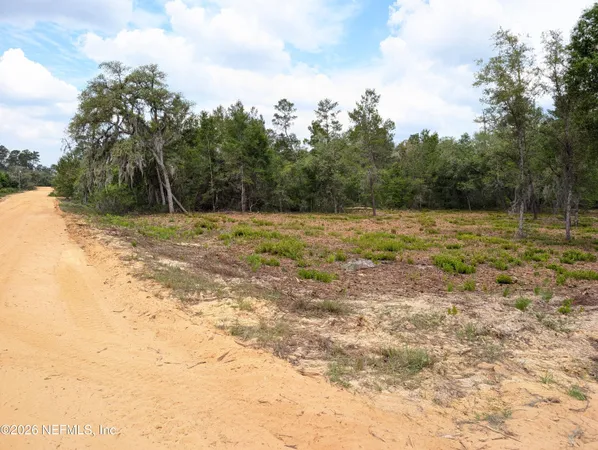 a view of dirt field with trees in the background