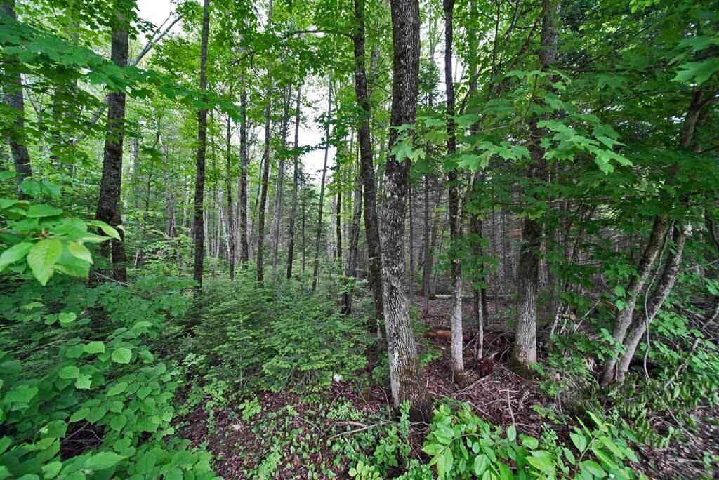 1375 Ludlow Road Houlton, ME 04730 - Photo 50 of 54 mix-woods-land-me