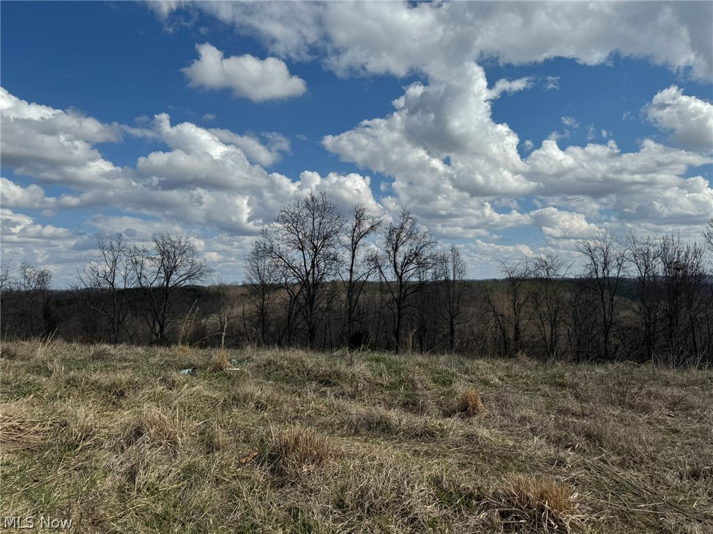 1 Sarvis Fork Road Sandyville, WV 25275 - Photo 42 of 44 Gallery Image 42