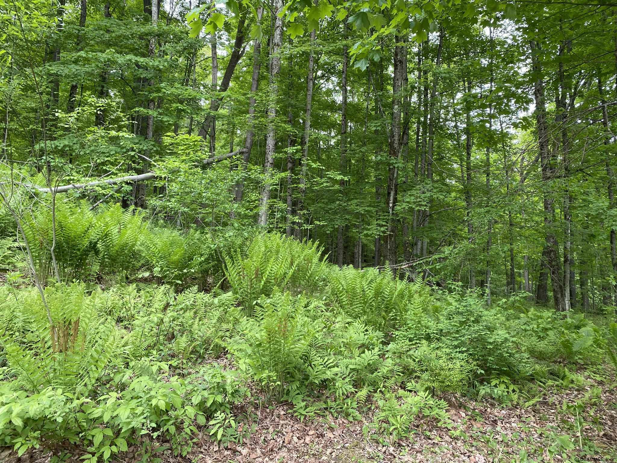 410 Oneill Road Cherry Valley, NY 13320 - Photo 14 of 16 Photo 14