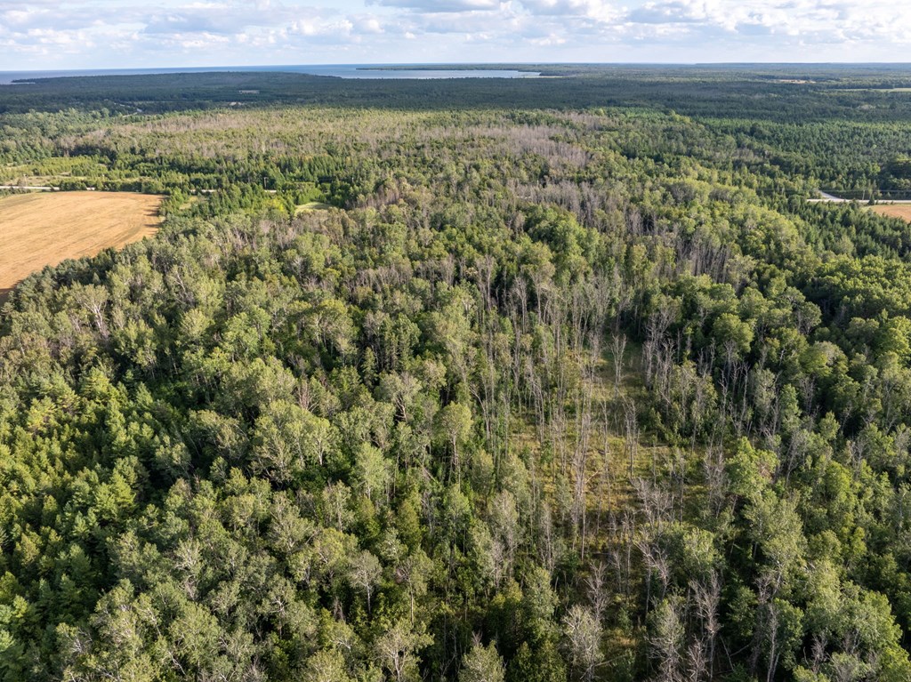 Tbd Tbd County Road Sister Bay, WI 54234 - Photo 2 of 32