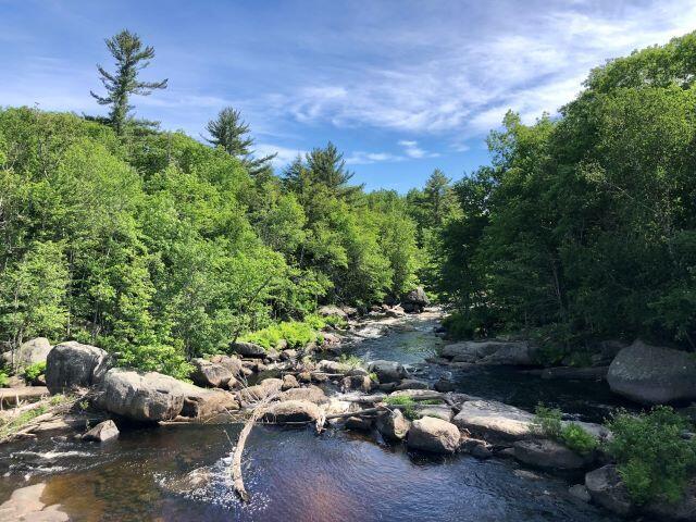 19 Foxtail Road Cherryfield, ME 04622 - Photo 39 of 43 RS-River from Dublois Bridge