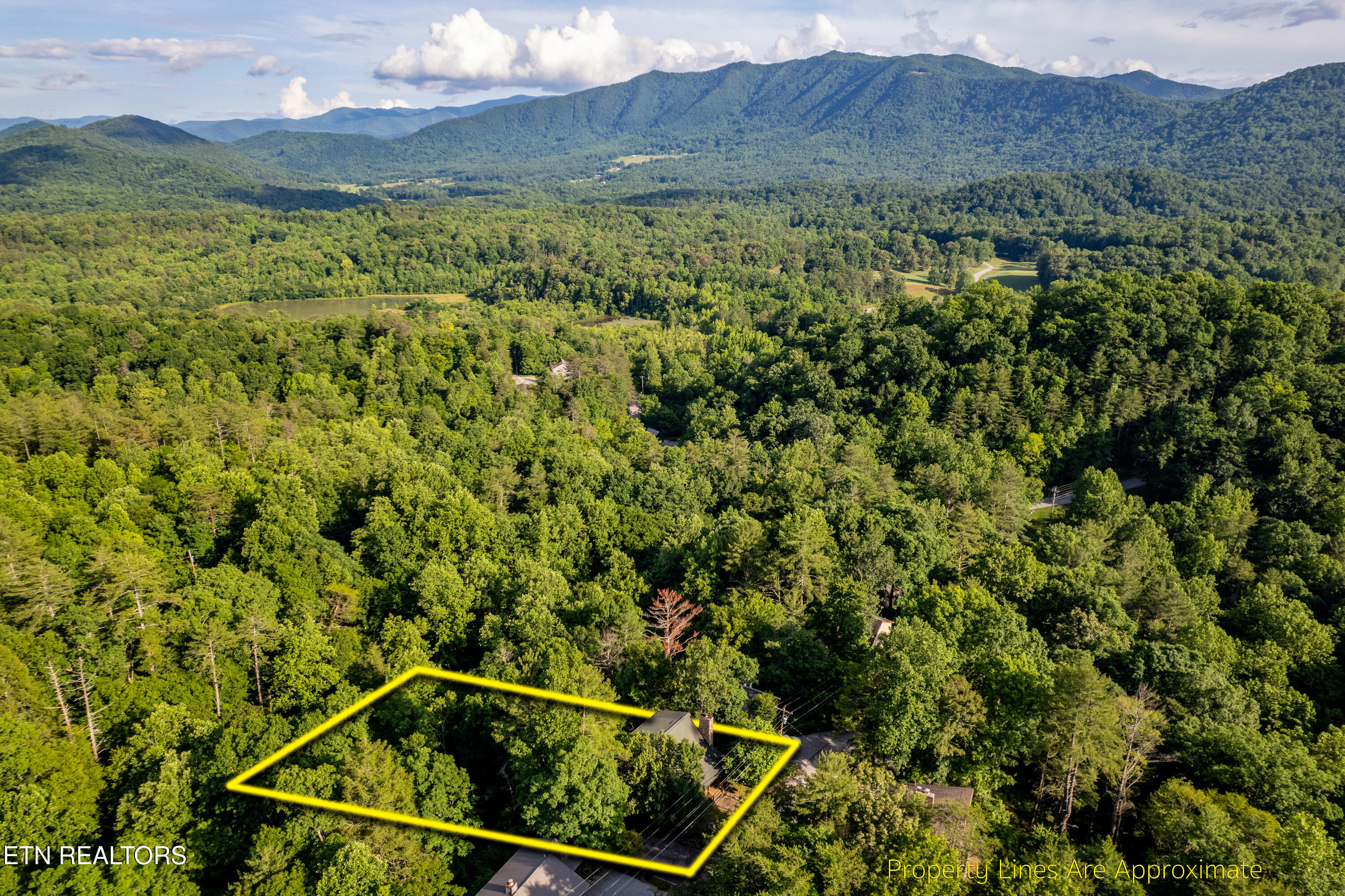 124 Cutter Gap Road Townsend, TN 37882 - Photo 6 of 41 124CutterGapRd-10