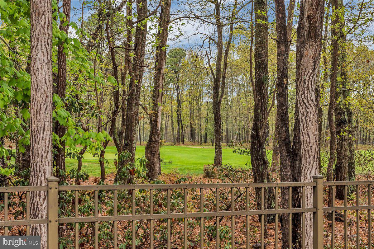 111 Bortons Road Marlton, NJ 08053 - Photo 13 of 18