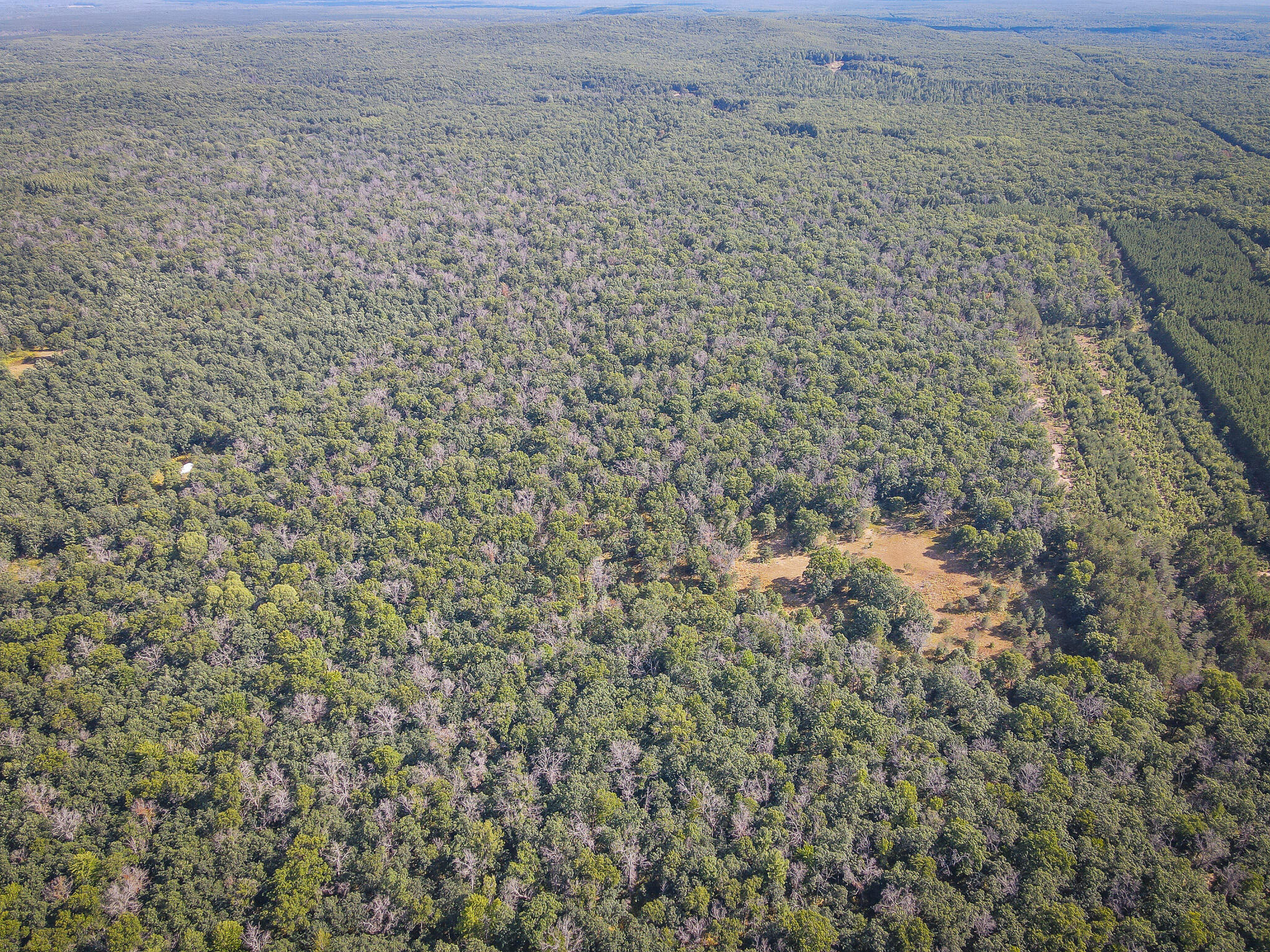 10 West Mile Road Irons, MI 49644 - Photo 2 of 42 DJI_0109