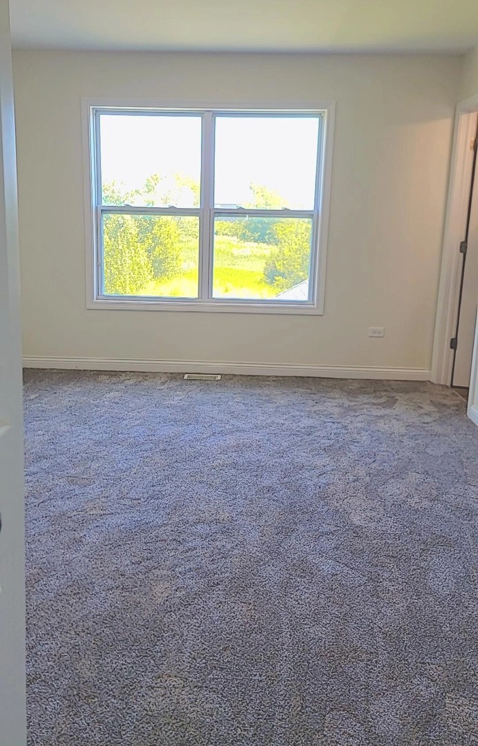 4177 Cherry Road Oswego, IL 60543 - Photo 22 of 29