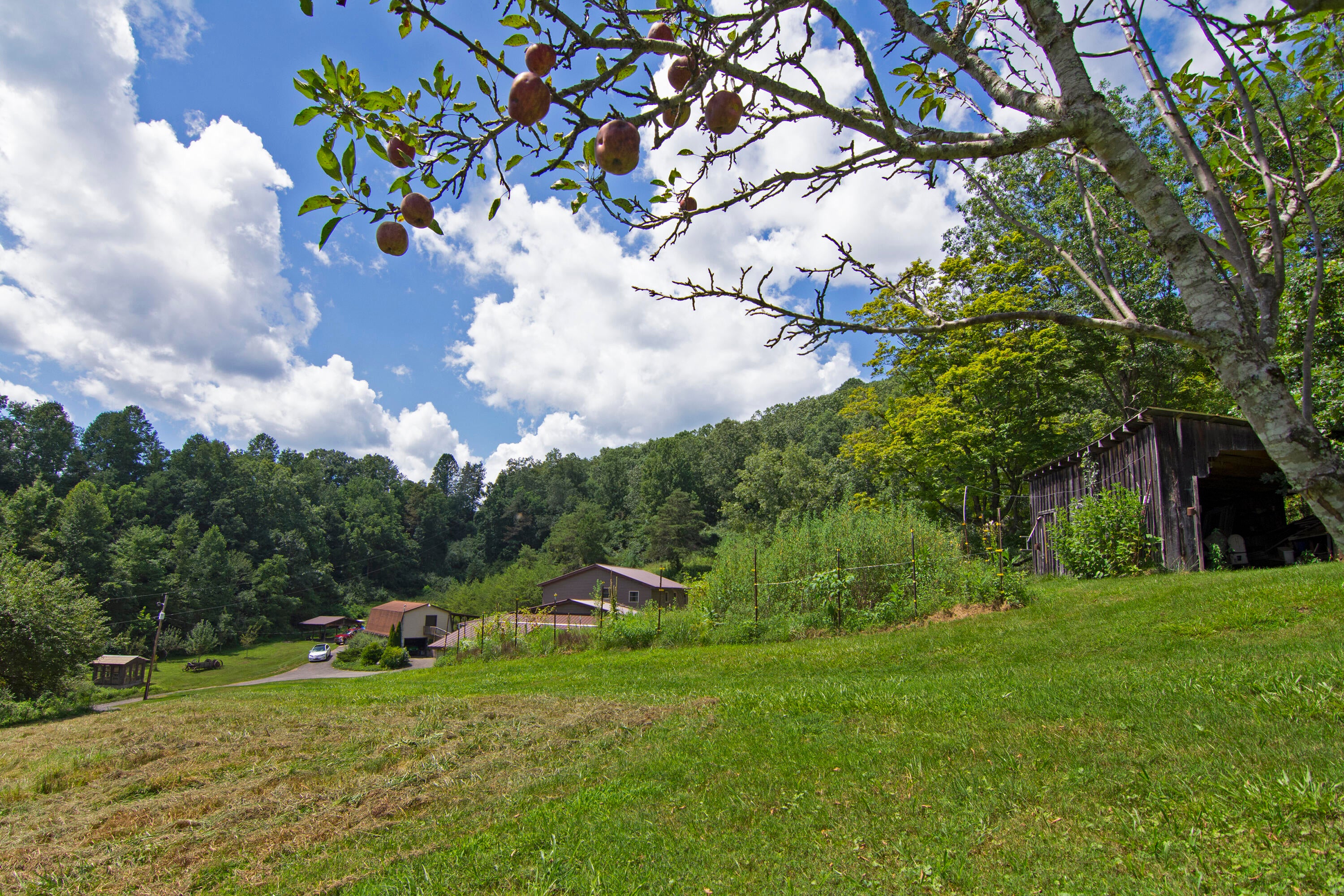276 Lone Willow Mountain Road Sandstone, WV 25985 - Photo 56 of 67 Gallery Image 56