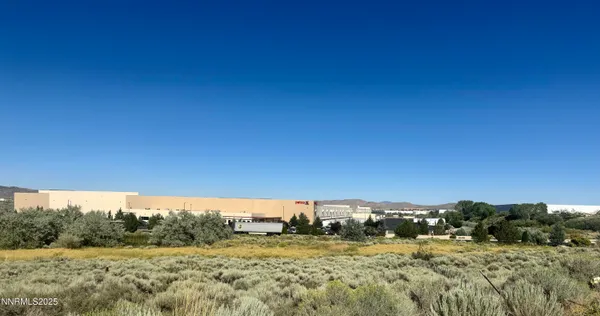 a view of a dry yard with trees