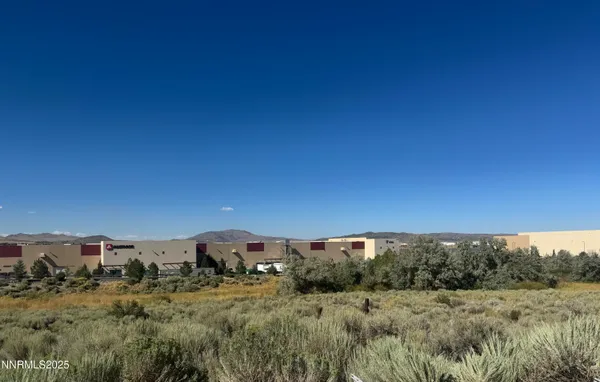 a view of a dry yard