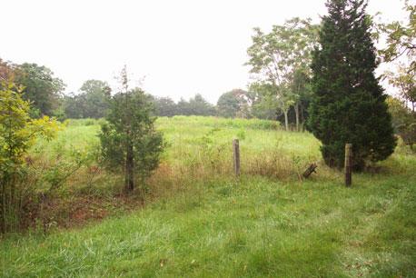 land