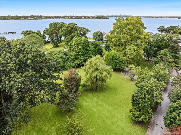 a view of park with trees