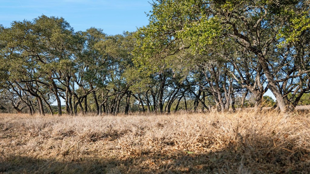 521 Bluff Creek Road North Center Point, TX 78010 - Photo 60 of 72