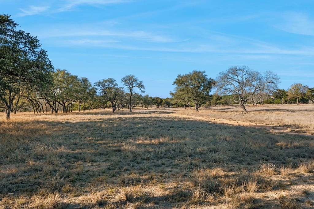 521 Bluff Creek Road North Center Point, TX 78010 - Photo 61 of 72
