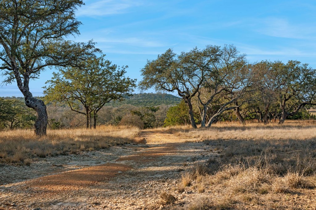 521 Bluff Creek Road North Center Point, TX 78010 - Photo 62 of 72