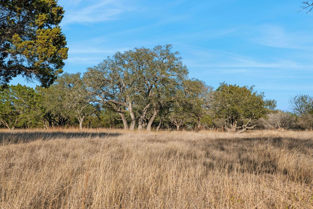 521 Bluff Creek Road North Center Point, TX 78010 - Photo 64 of 72