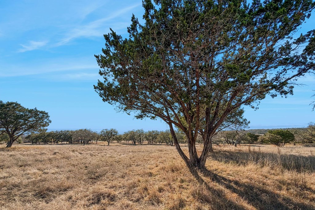 521 Bluff Creek Road North Center Point, TX 78010 - Photo 70 of 72