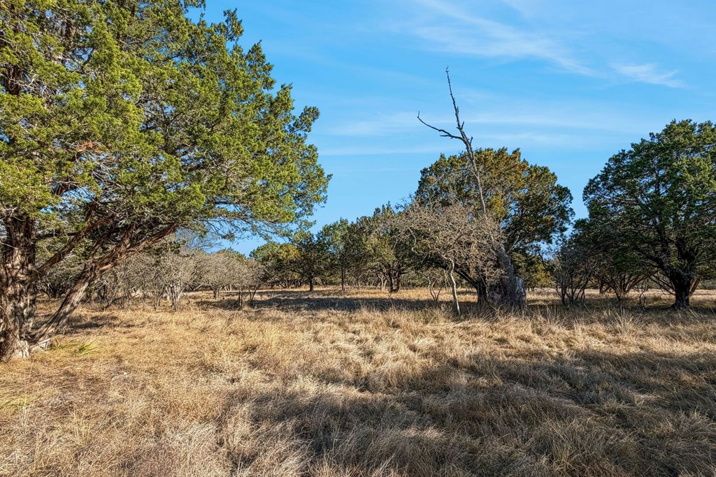 521 Bluff Creek Road North Center Point, TX 78010 - Photo 71 of 72
