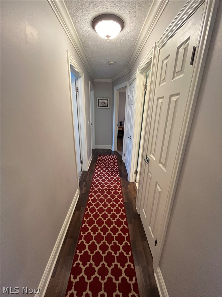 6871 Byron Road Madison, OH 44057 - Photo 29 of 48 Corridor featuring a textured ceiling, ornamental molding, and dark hardwood / wood-style floors
