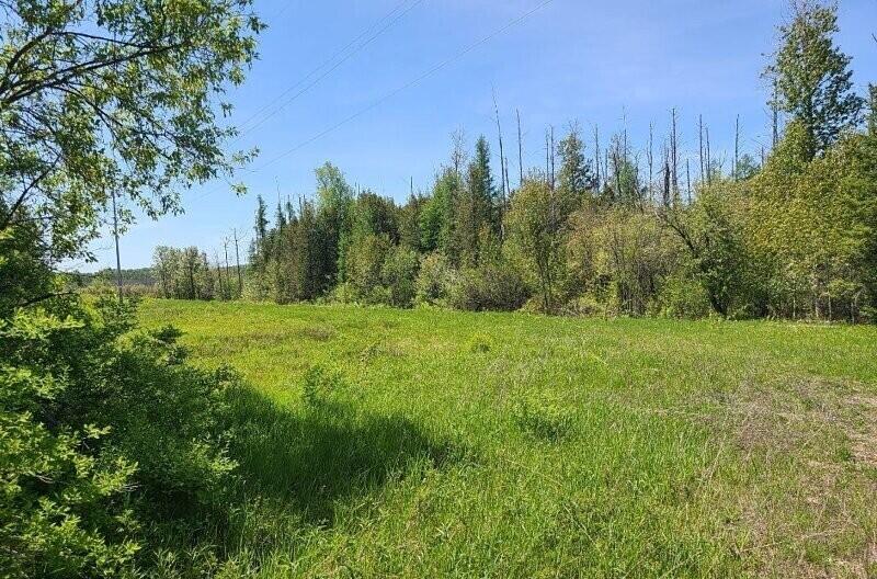 61-ac Hebron Mail Route Cheboygan, MI 49721 - Photo 3 of 3 hebron1
