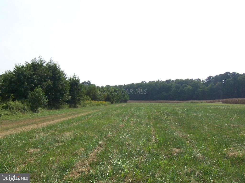Friendship Road Willards, MD 21874 - Photo 1 of 7 Gallery Image 1