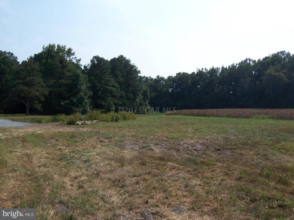 Friendship Road Willards, MD 21874 - Photo 3 of 7 Gallery Image 3
