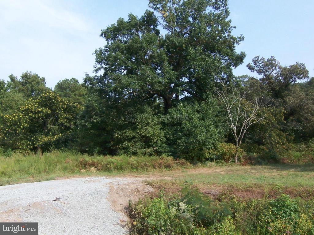 Friendship Road Willards, MD 21874 - Photo 6 of 7 Gallery Image 6