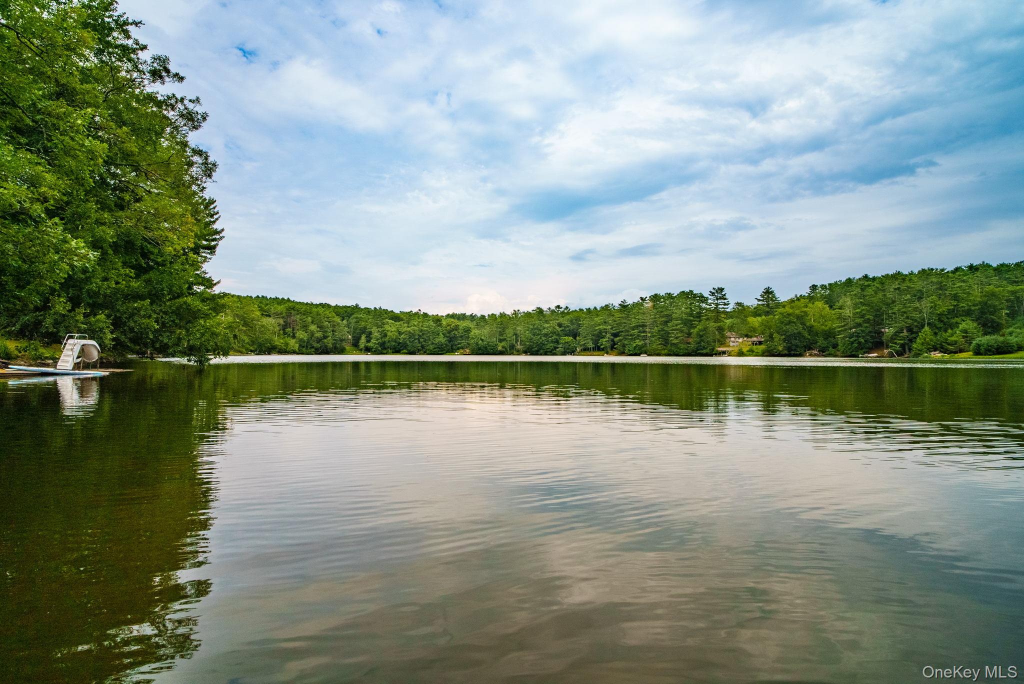 2 Bodine Lake Road Yulan, NY 12792 - Photo 2 of 32 a view of lake