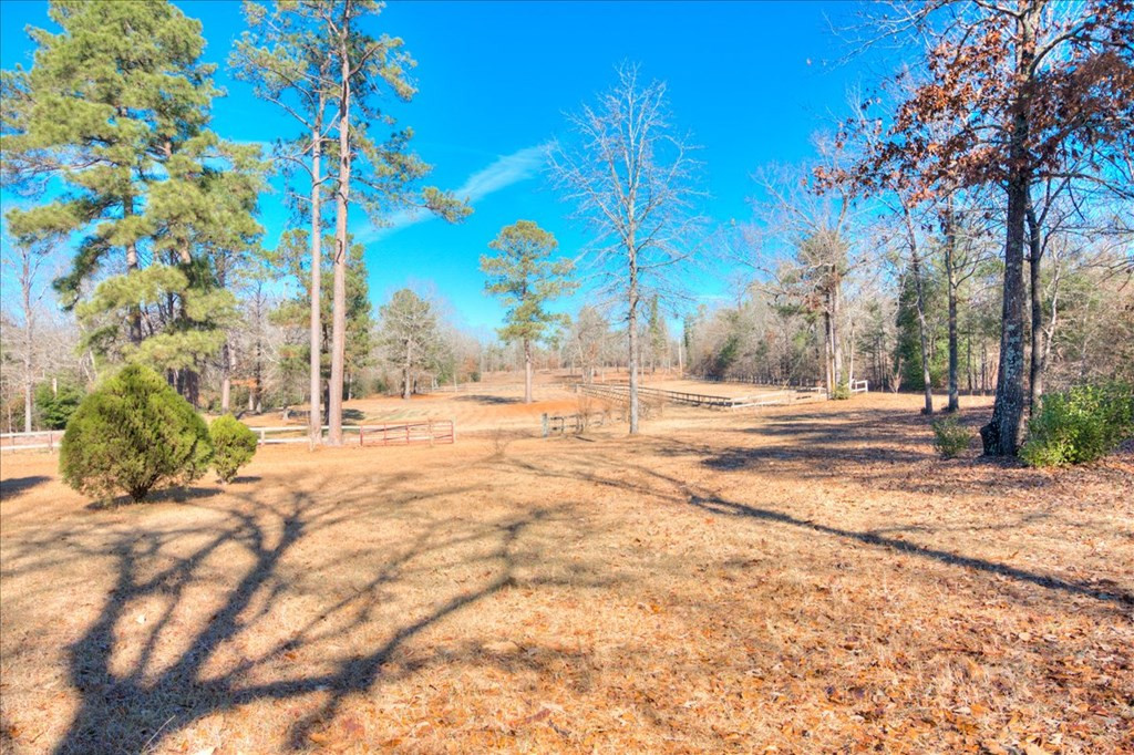 861 Colbert Bridge Road Aiken, SC 29803 - Photo 41 of 52