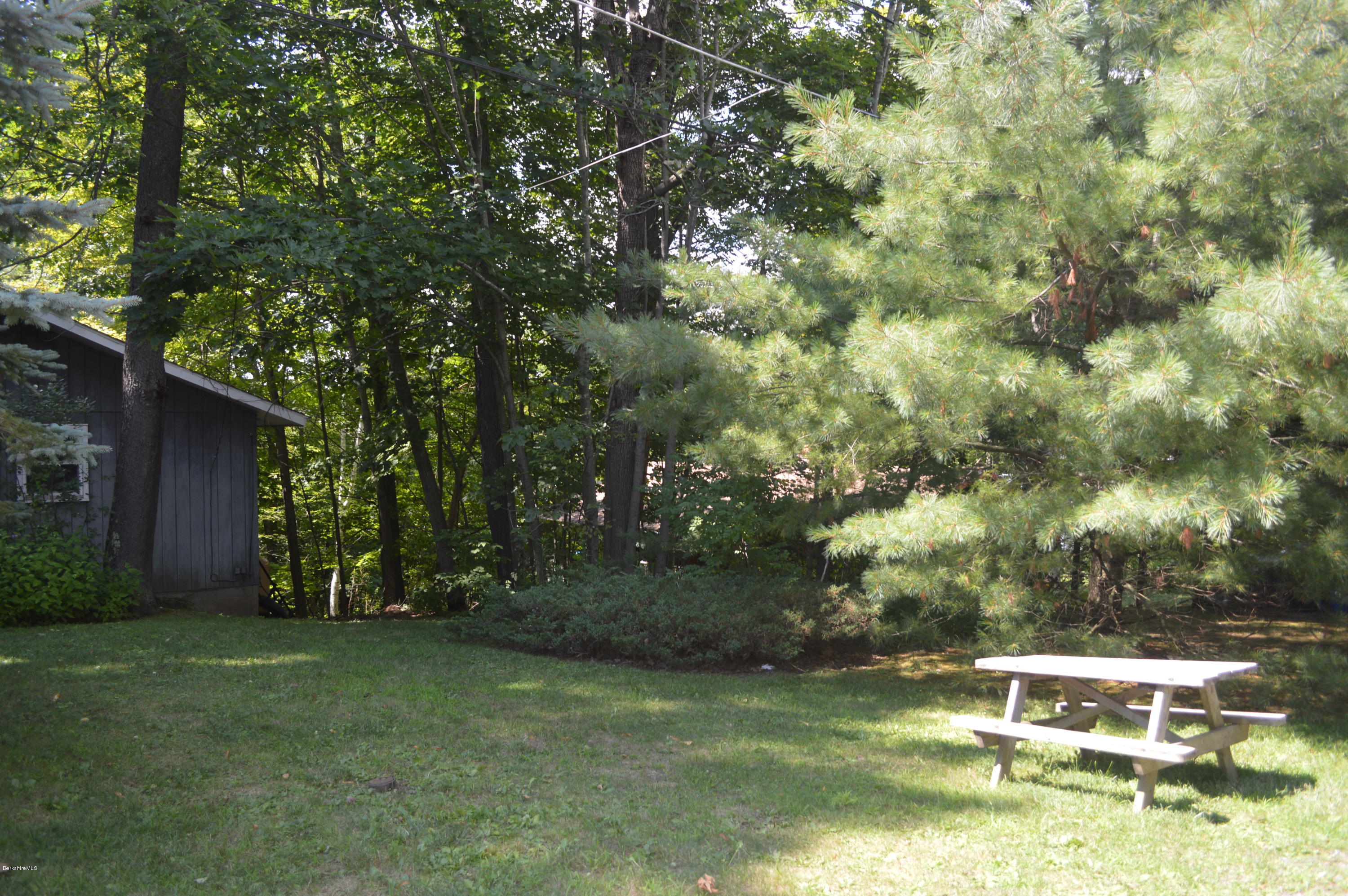 87 Lake Road Richmond, MA 01201 - Photo 3 of 3 a backyard of a house with lots of green space