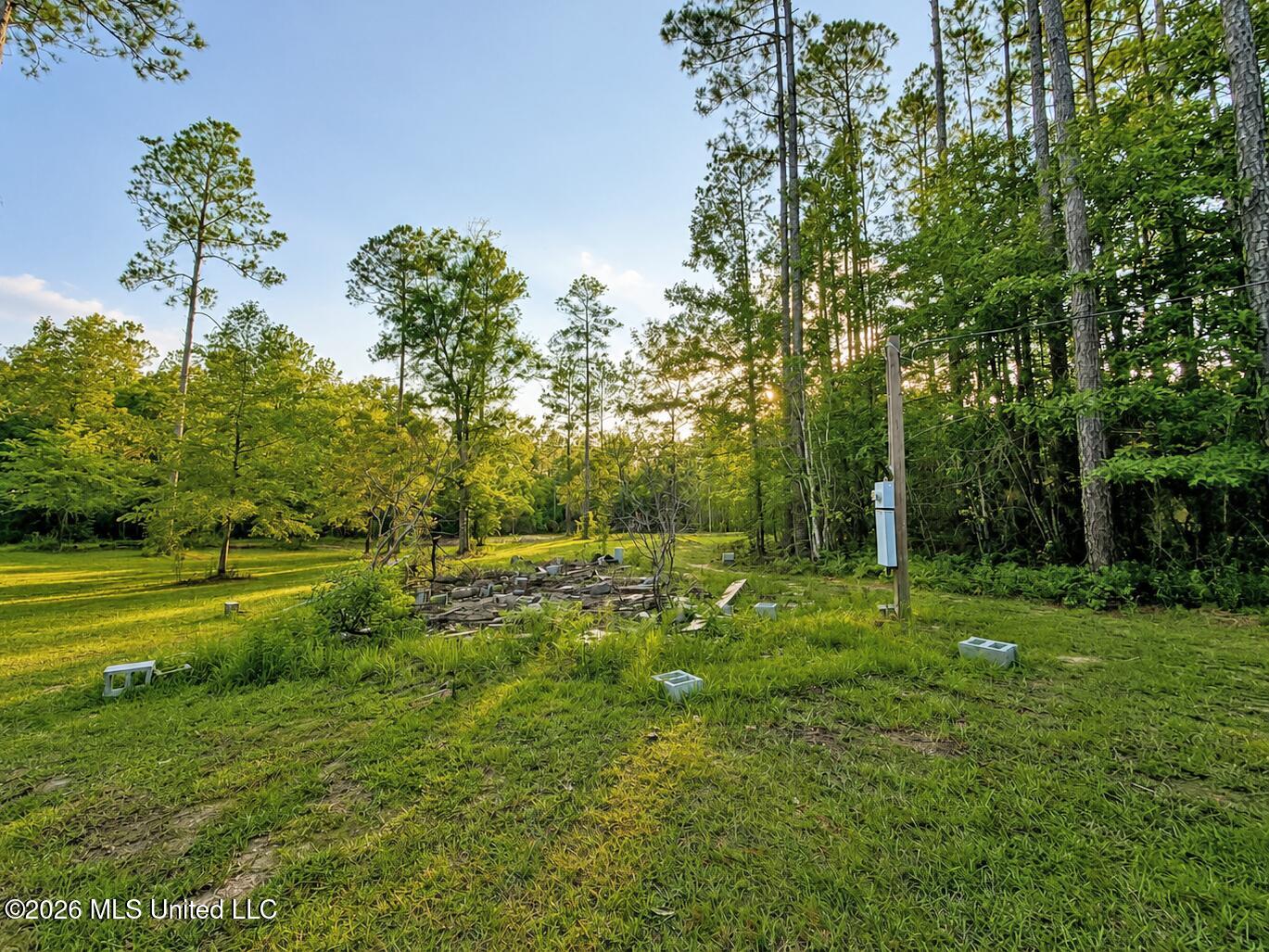 253 A Dean Nursery Road Lucedale, MS 39452 - Photo 6 of 22 1 (7)