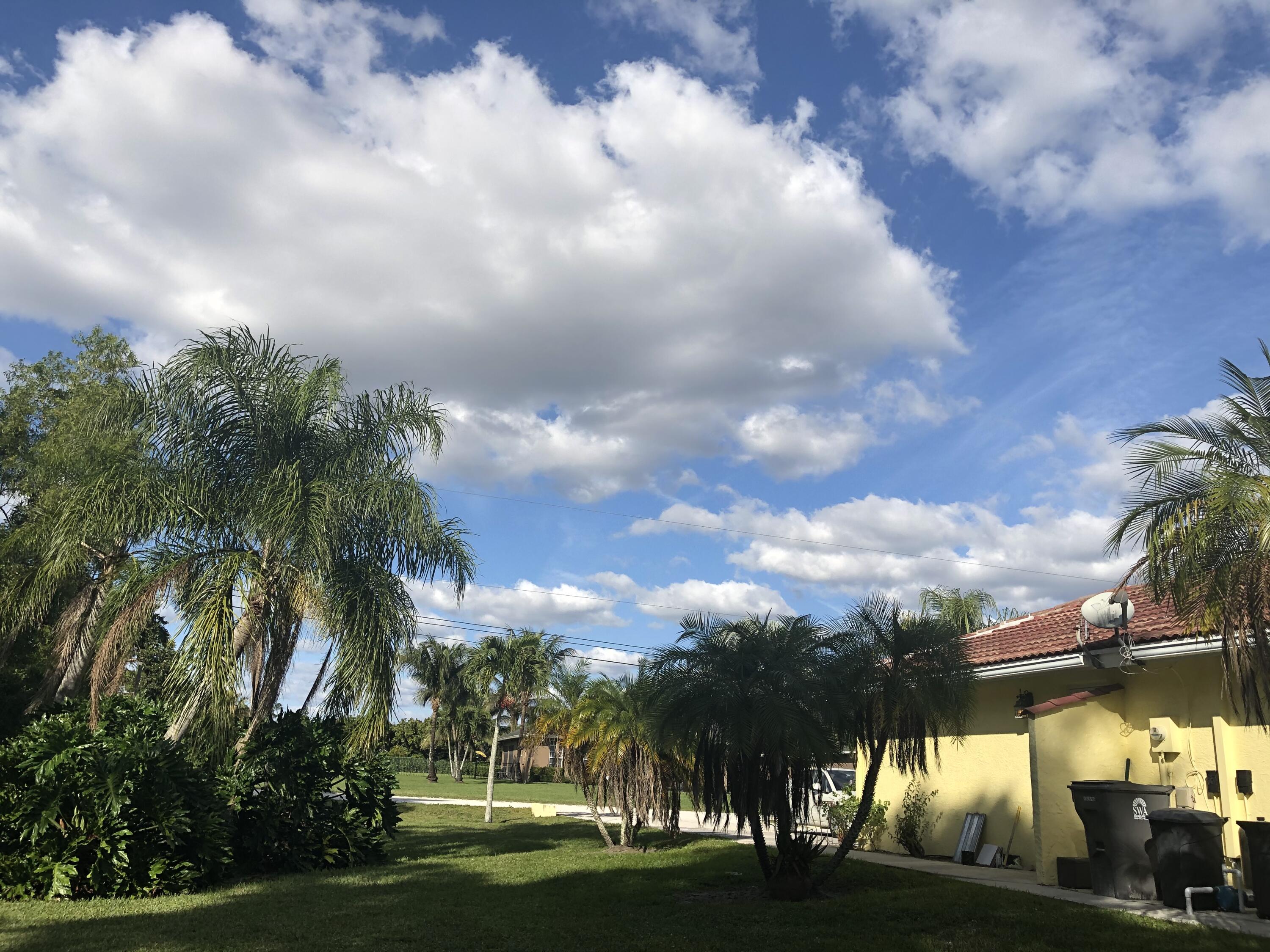 12136 88th Place North West Palm Beach, FL 33412 - Photo 16 of 29 a view of a lot of trees and lakeside