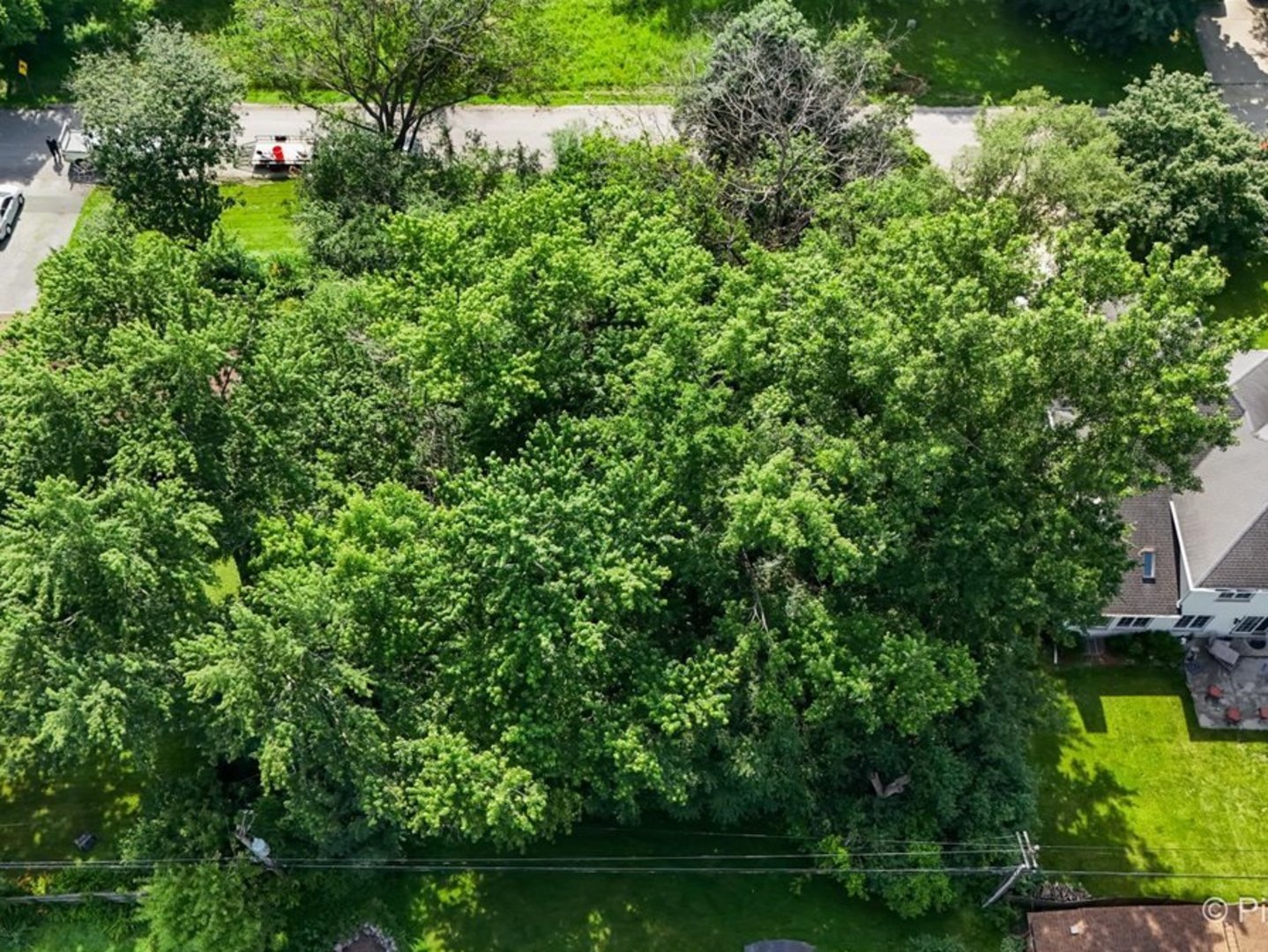 4 N Niles Avenue Addison, IL 60101 - Photo 20 of 22