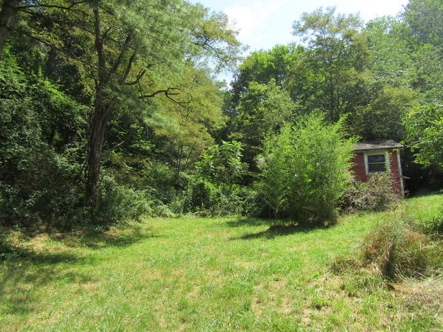 4816 Brush Creek Road Riner, VA 24149 - Photo 14 of 17 a view of a yard with plants and large trees