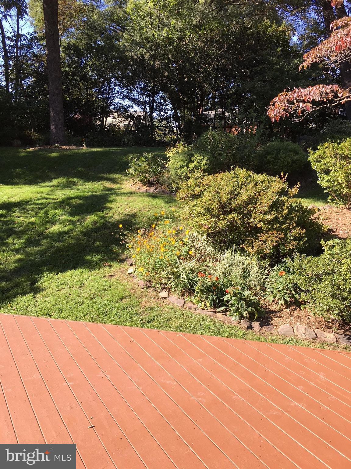 511 Mansfield Road Silver Spring, MD 20910 - Photo 25 of 29 a view of a yard with an outdoor space