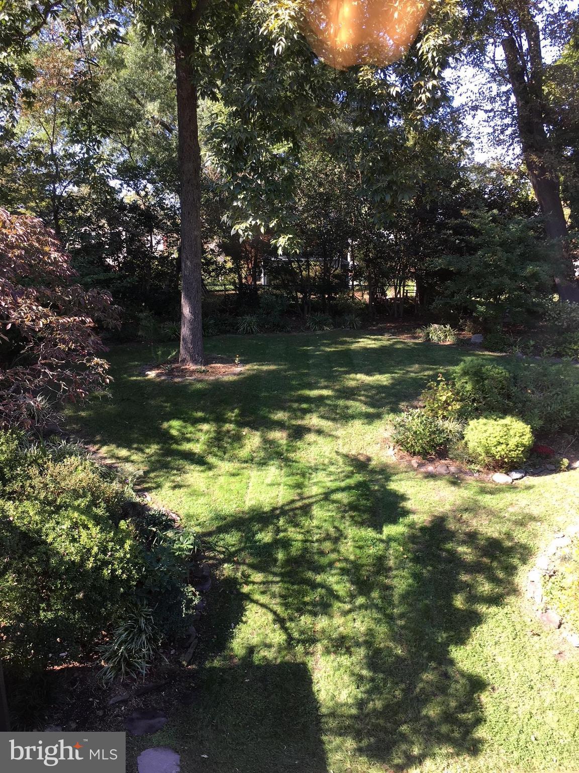 511 Mansfield Road Silver Spring, MD 20910 - Photo 27 of 29 a view of a tree with a yard