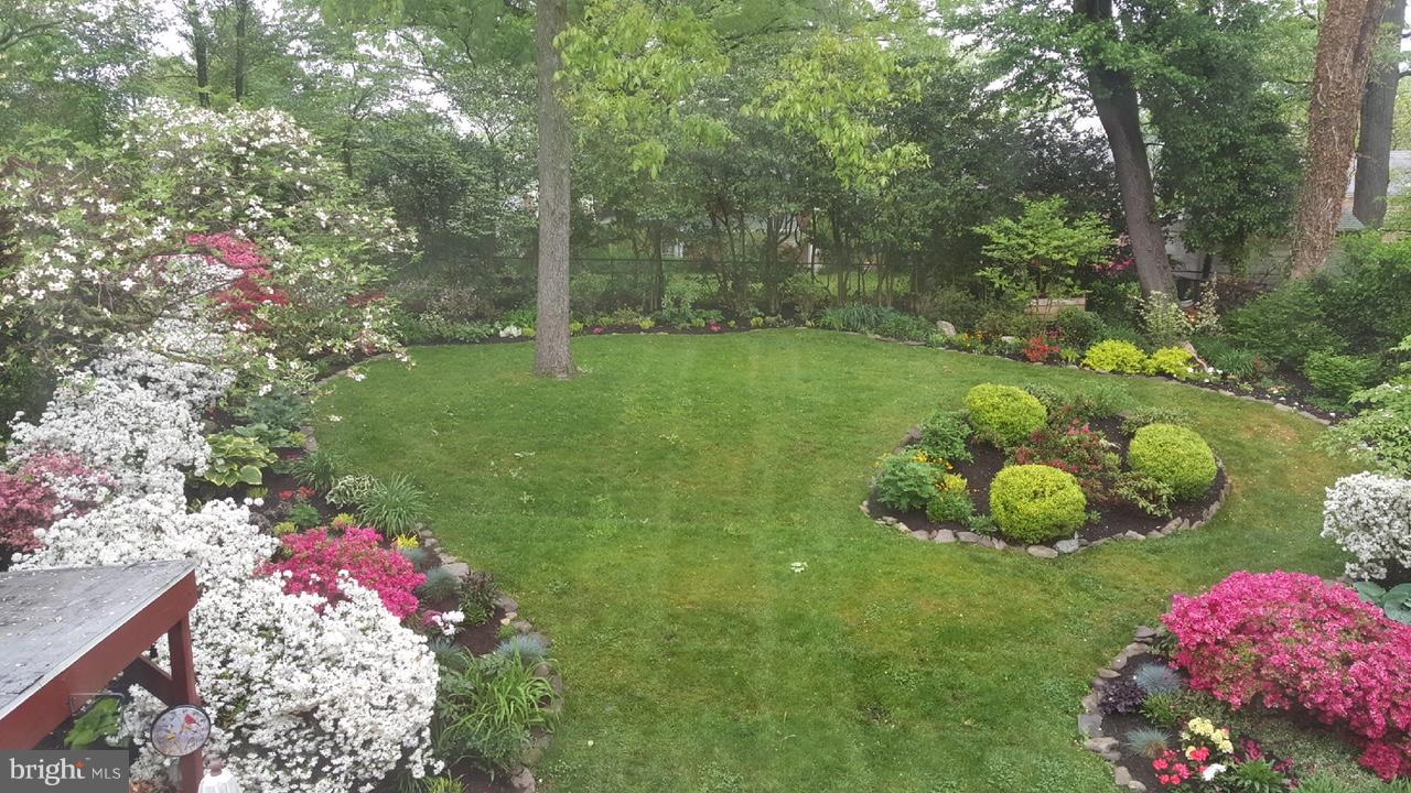 511 Mansfield Road Silver Spring, MD 20910 - Photo 29 of 29 a picture of flowers and couple of flower plant