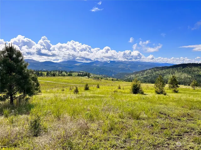 $149,900 | 39 Moonlight Drive, Curlew, WA 99118