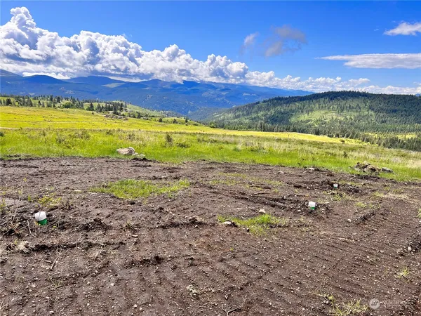 $149,900 | 39 Moonlight Drive, Curlew, WA 99118