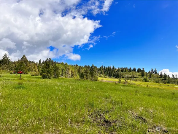 $149,900 | 39 Moonlight Drive, Curlew, WA 99118