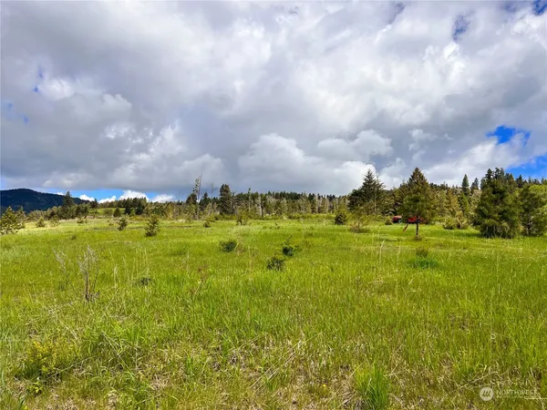 $149,900 | 39 Moonlight Drive, Curlew, WA 99118