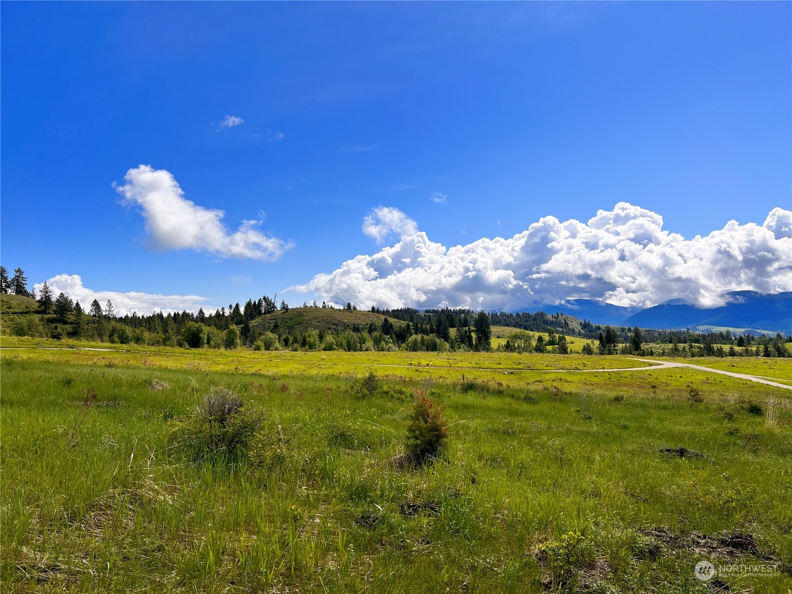 39 Moonlight Drive Curlew, WA 99118 - Photo 15 of 20