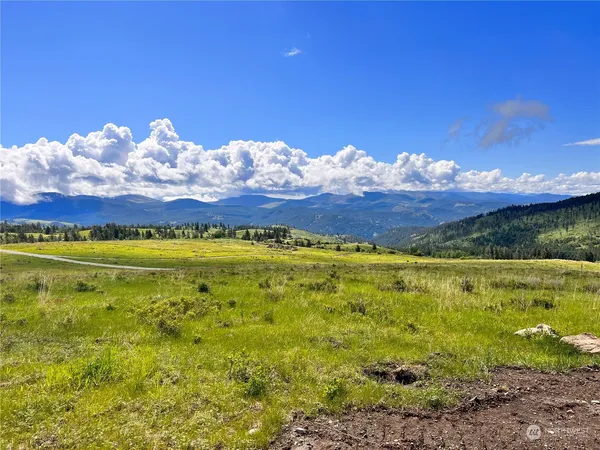 $149,900 | 39 Moonlight Drive, Curlew, WA 99118
