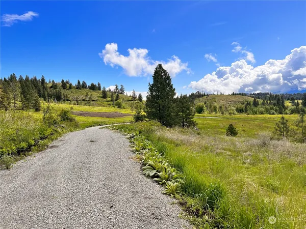 $149,900 | 39 Moonlight Drive, Curlew, WA 99118